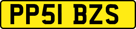 PP51BZS