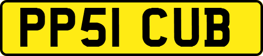 PP51CUB