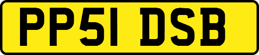 PP51DSB