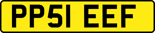 PP51EEF