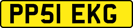 PP51EKG