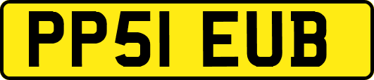 PP51EUB