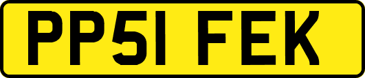PP51FEK