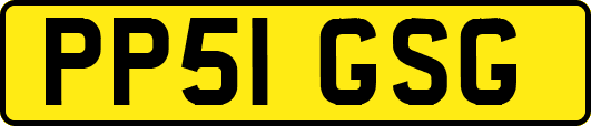 PP51GSG