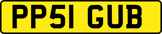 PP51GUB