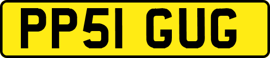 PP51GUG
