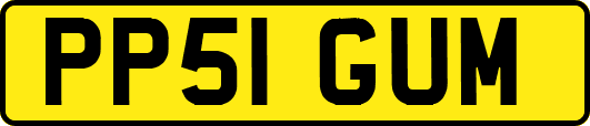PP51GUM