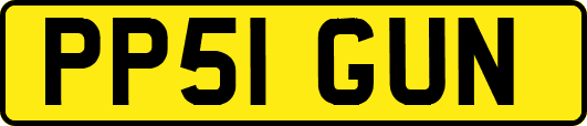 PP51GUN