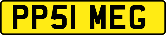 PP51MEG