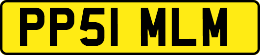 PP51MLM