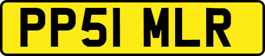 PP51MLR