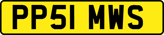 PP51MWS