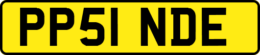 PP51NDE