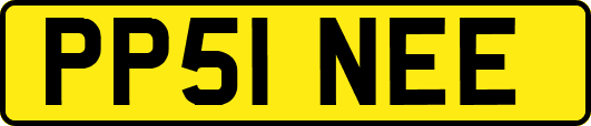 PP51NEE