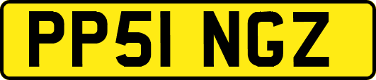 PP51NGZ