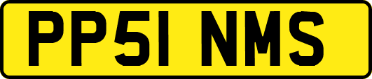 PP51NMS
