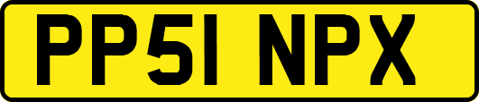 PP51NPX