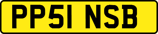 PP51NSB
