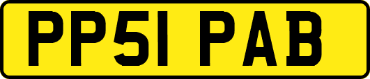 PP51PAB
