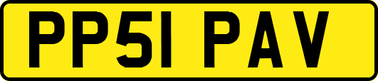 PP51PAV