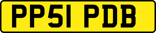 PP51PDB