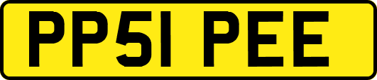 PP51PEE