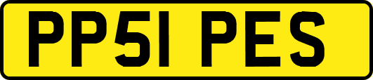 PP51PES