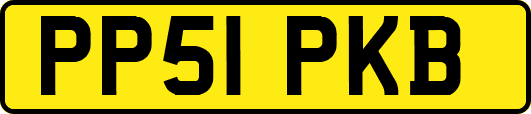 PP51PKB