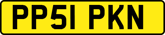 PP51PKN