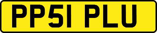 PP51PLU