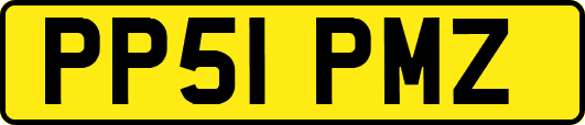 PP51PMZ