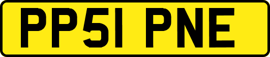 PP51PNE