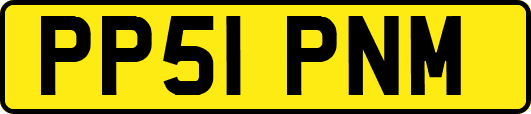 PP51PNM