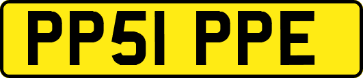 PP51PPE