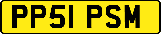 PP51PSM