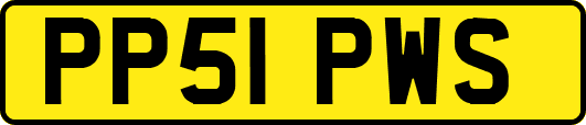 PP51PWS