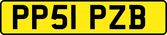 PP51PZB