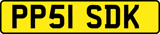 PP51SDK