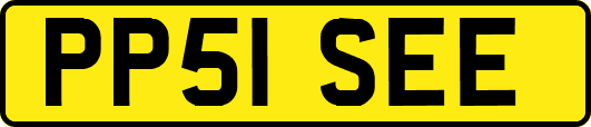 PP51SEE