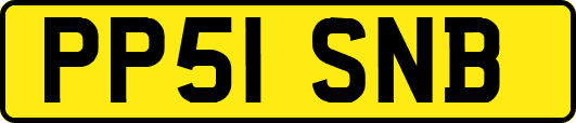 PP51SNB