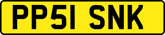PP51SNK
