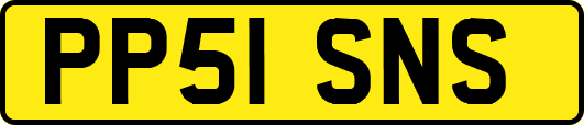 PP51SNS