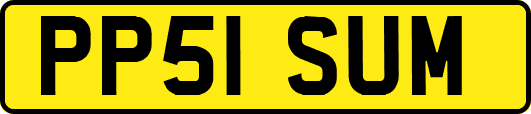 PP51SUM