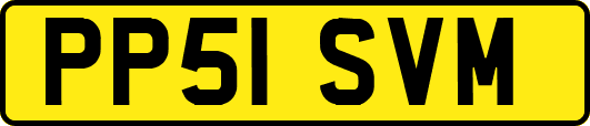 PP51SVM