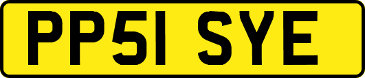 PP51SYE