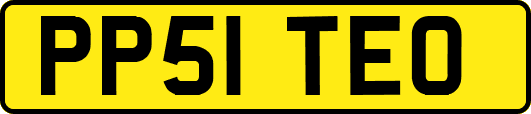 PP51TEO
