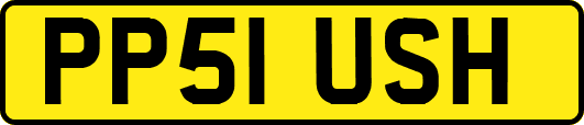 PP51USH
