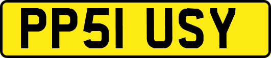 PP51USY