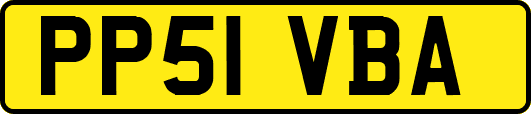 PP51VBA