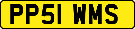 PP51WMS